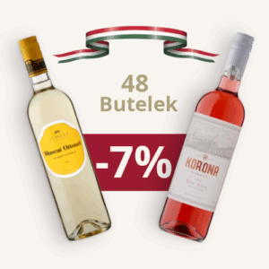 Pakiet na przyjęcie - MIX (48 szt.)